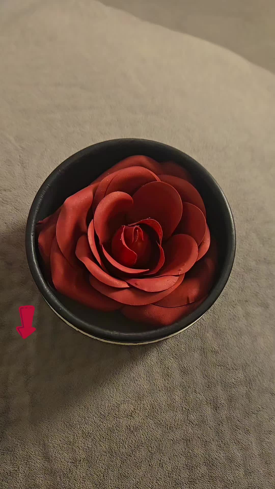 @Flavianita🦉