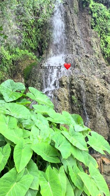@parashanshagupt 11:11😇