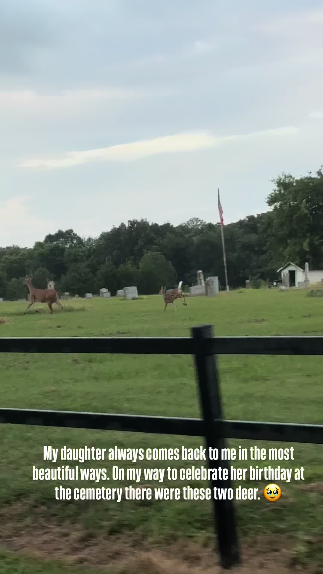 @txtrvsh
