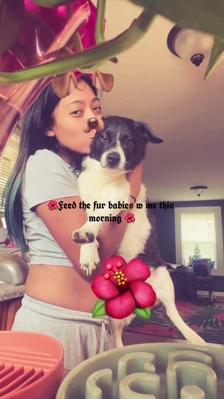 @xevx