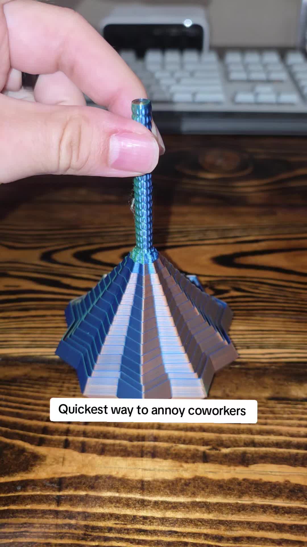 @NinjaRacoony