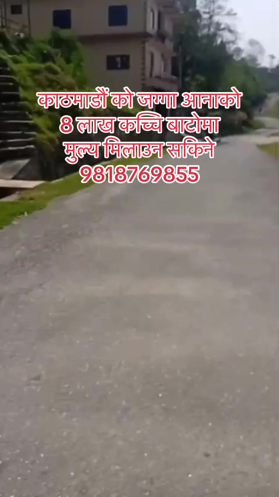 @9818769855