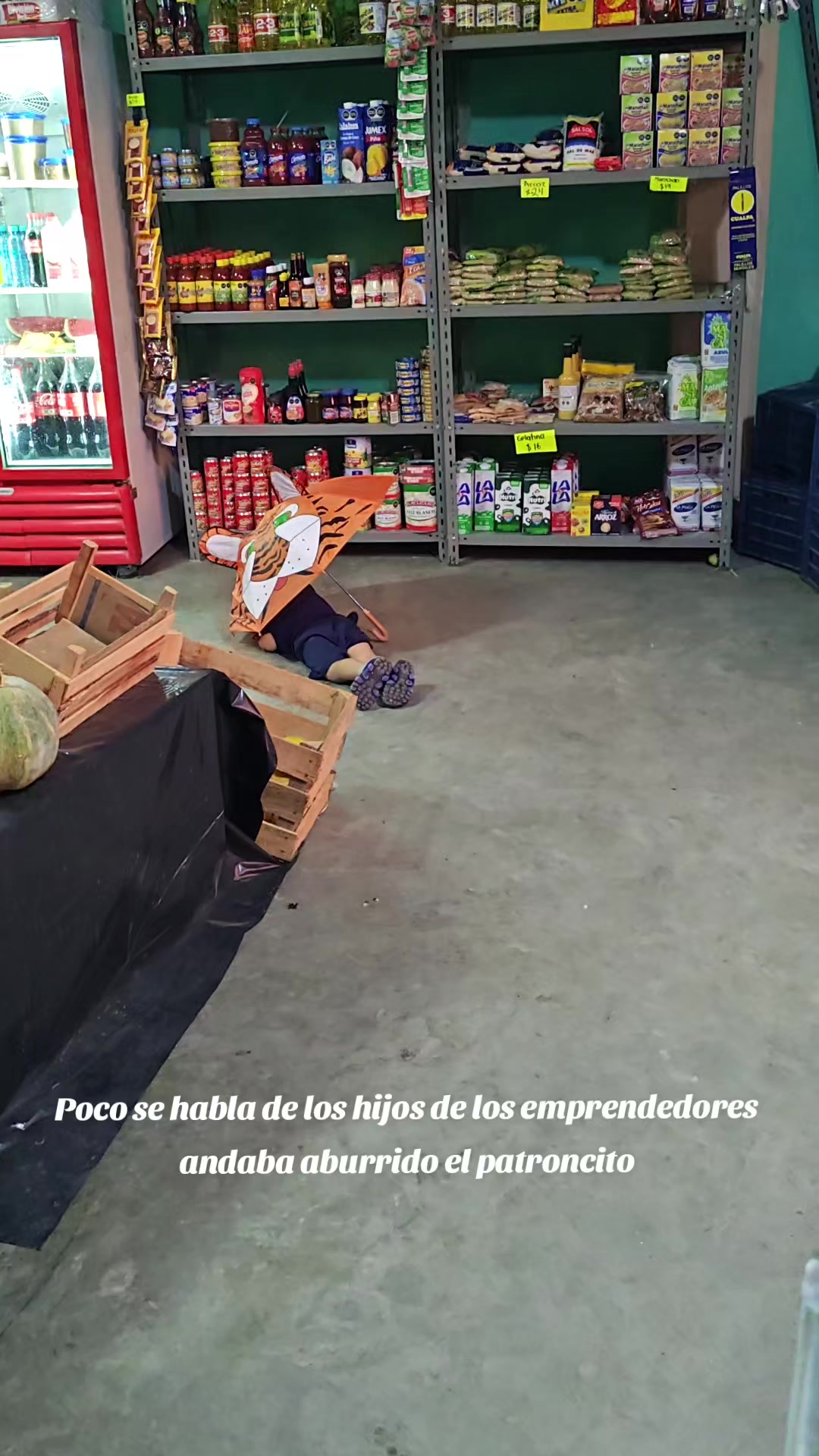 @Conecta-dos