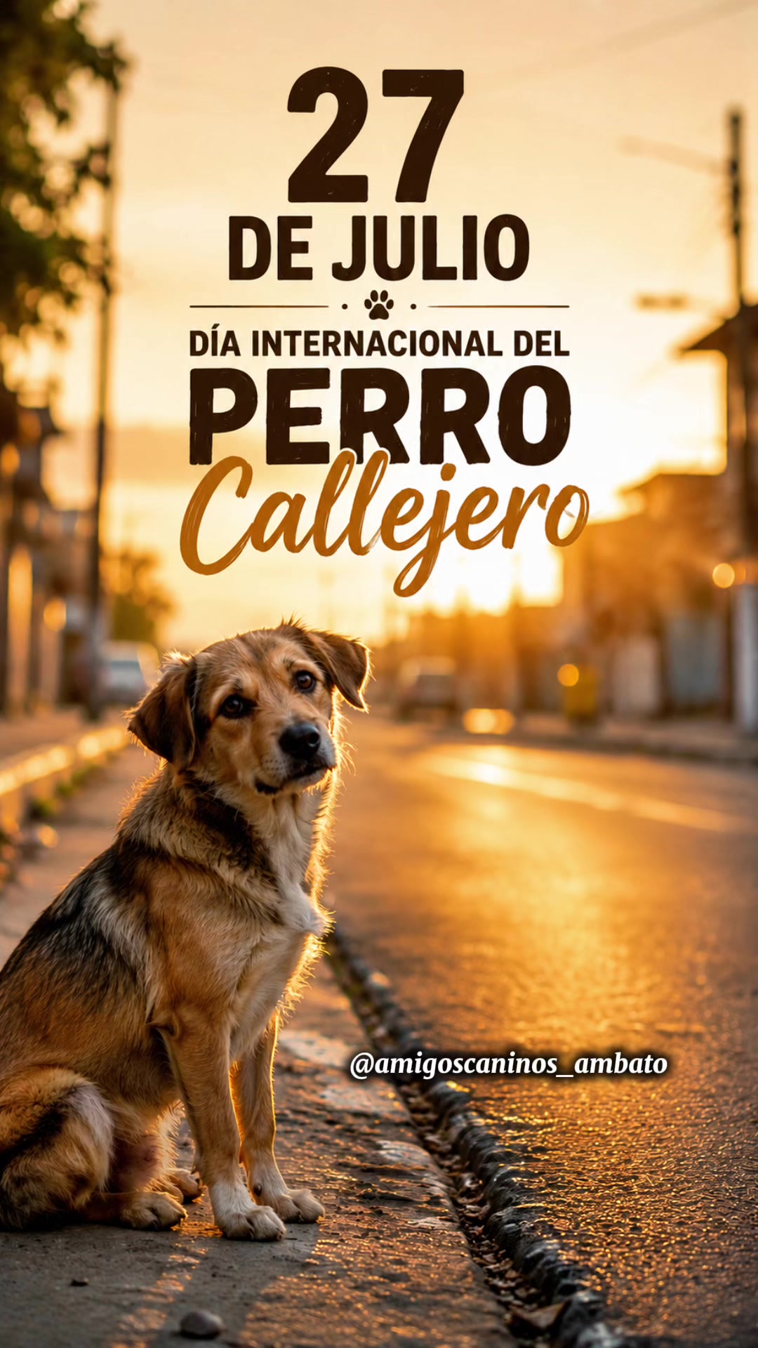 @Amigoscaninos_Ambato