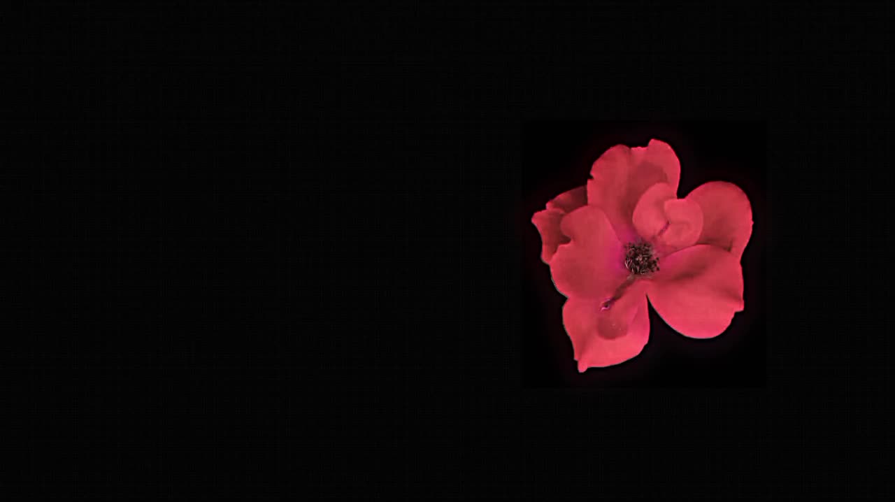 @𝘷𝘦𝘭𝘮𝘮𝘳𝘢𝘺𝘹