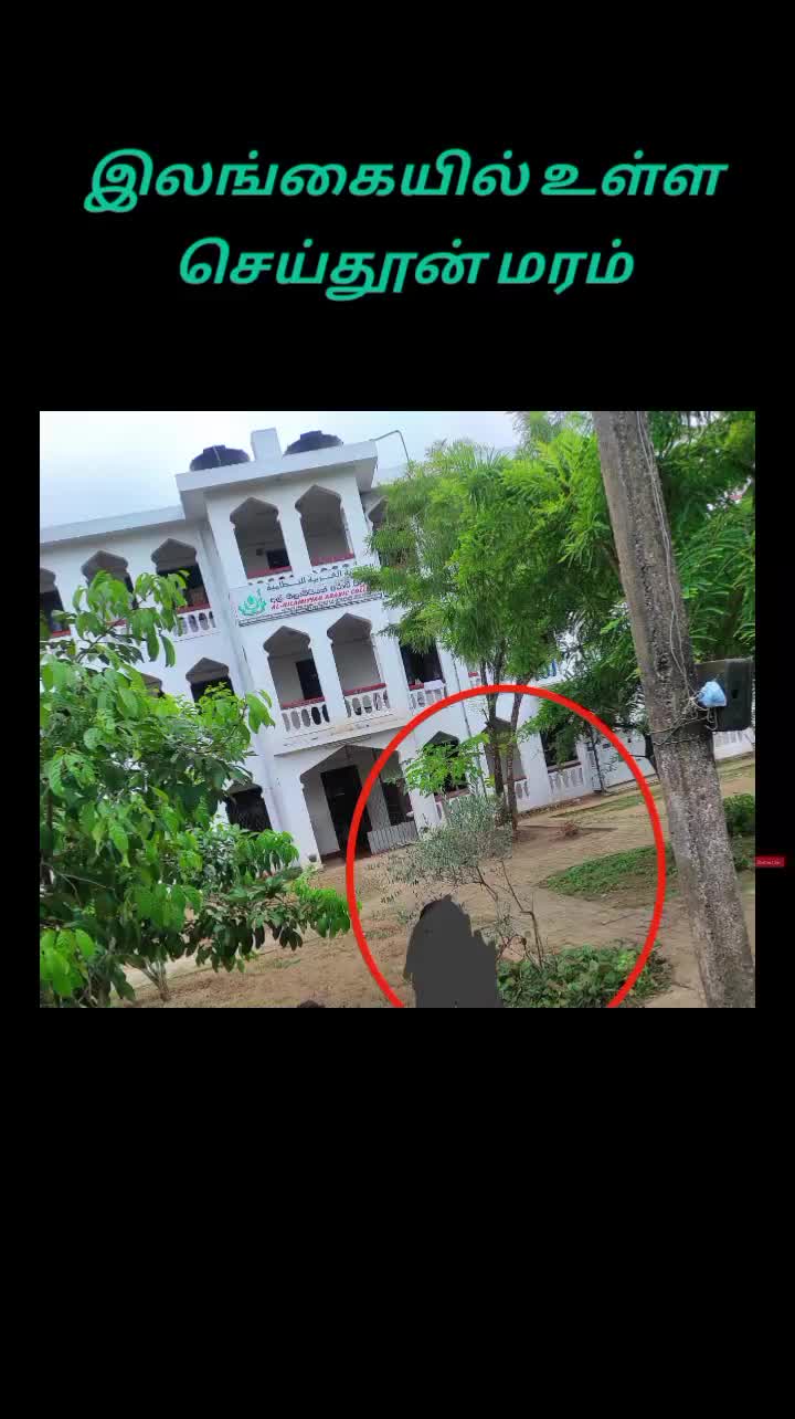 @الحافظ لقمان