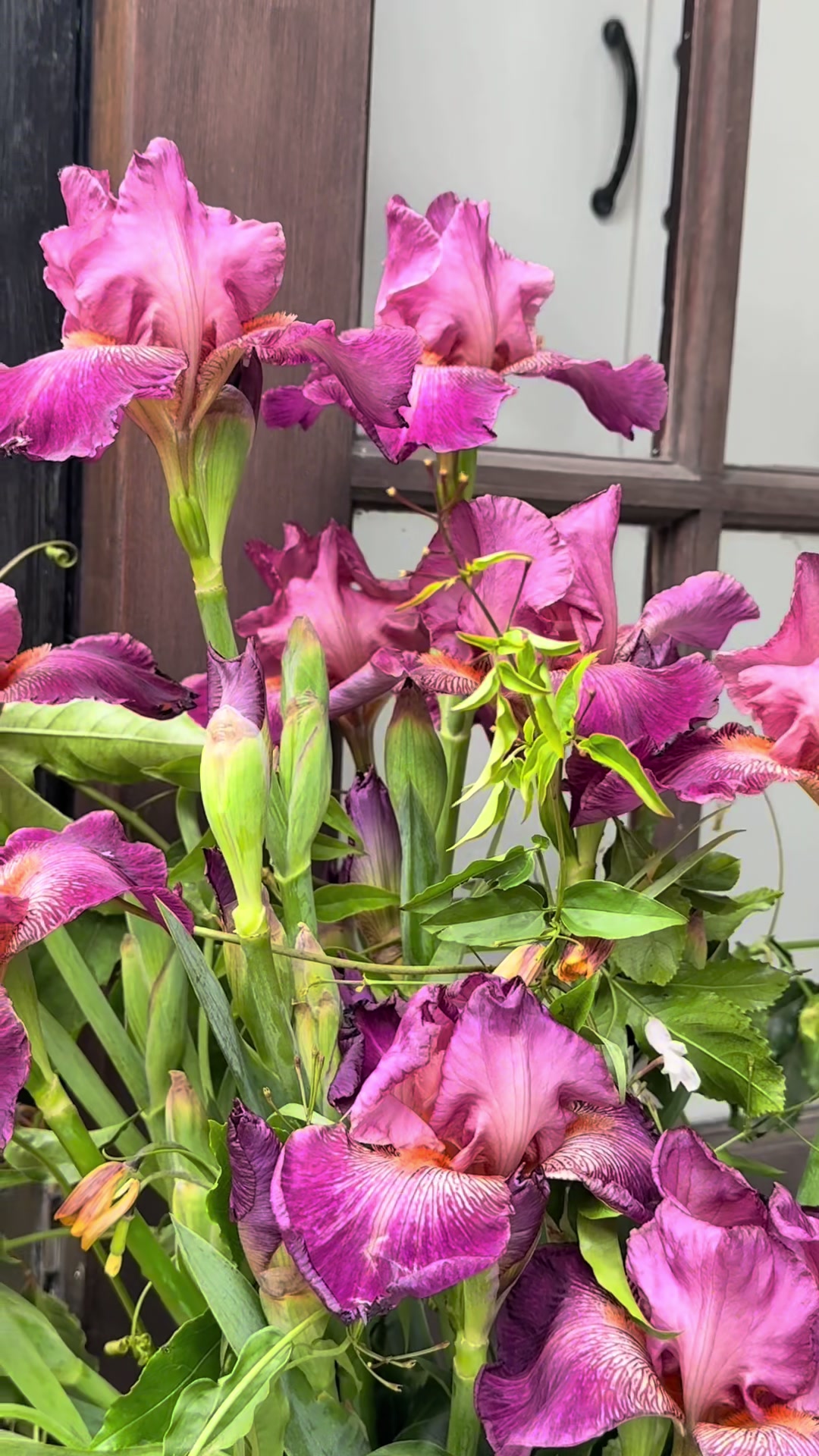 @By Georgia Douglas || Florist