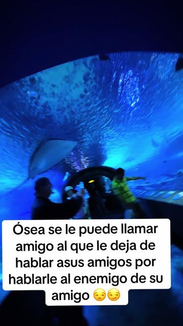 @🐬🐎🐍Rosy Romero 🪽🪽🦚🦩
