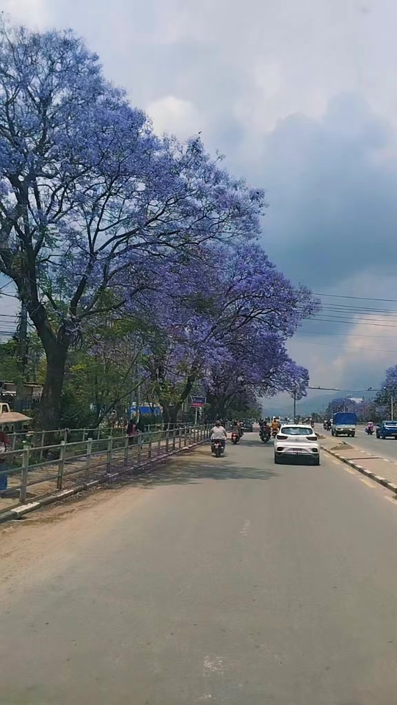@Ishwori Thakuri❤
