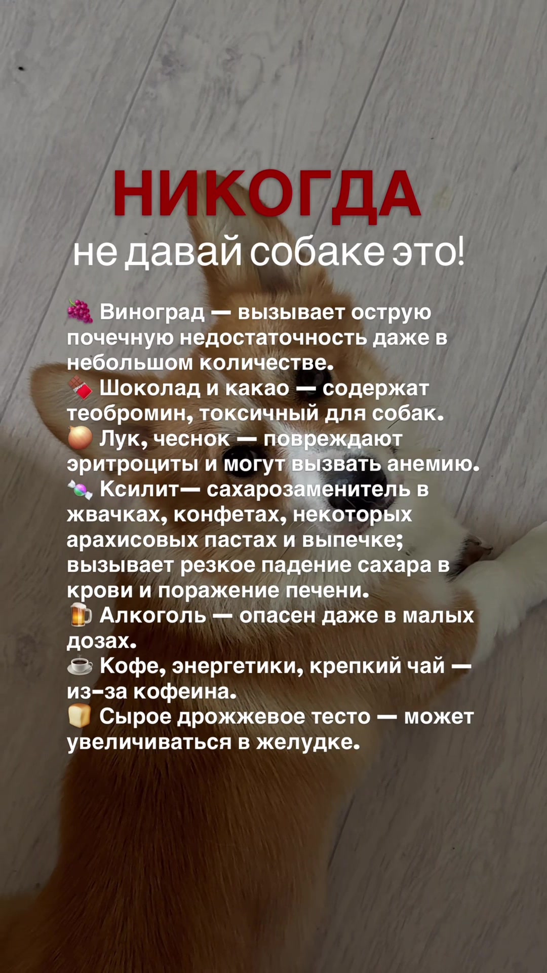 @Vlada & Santos