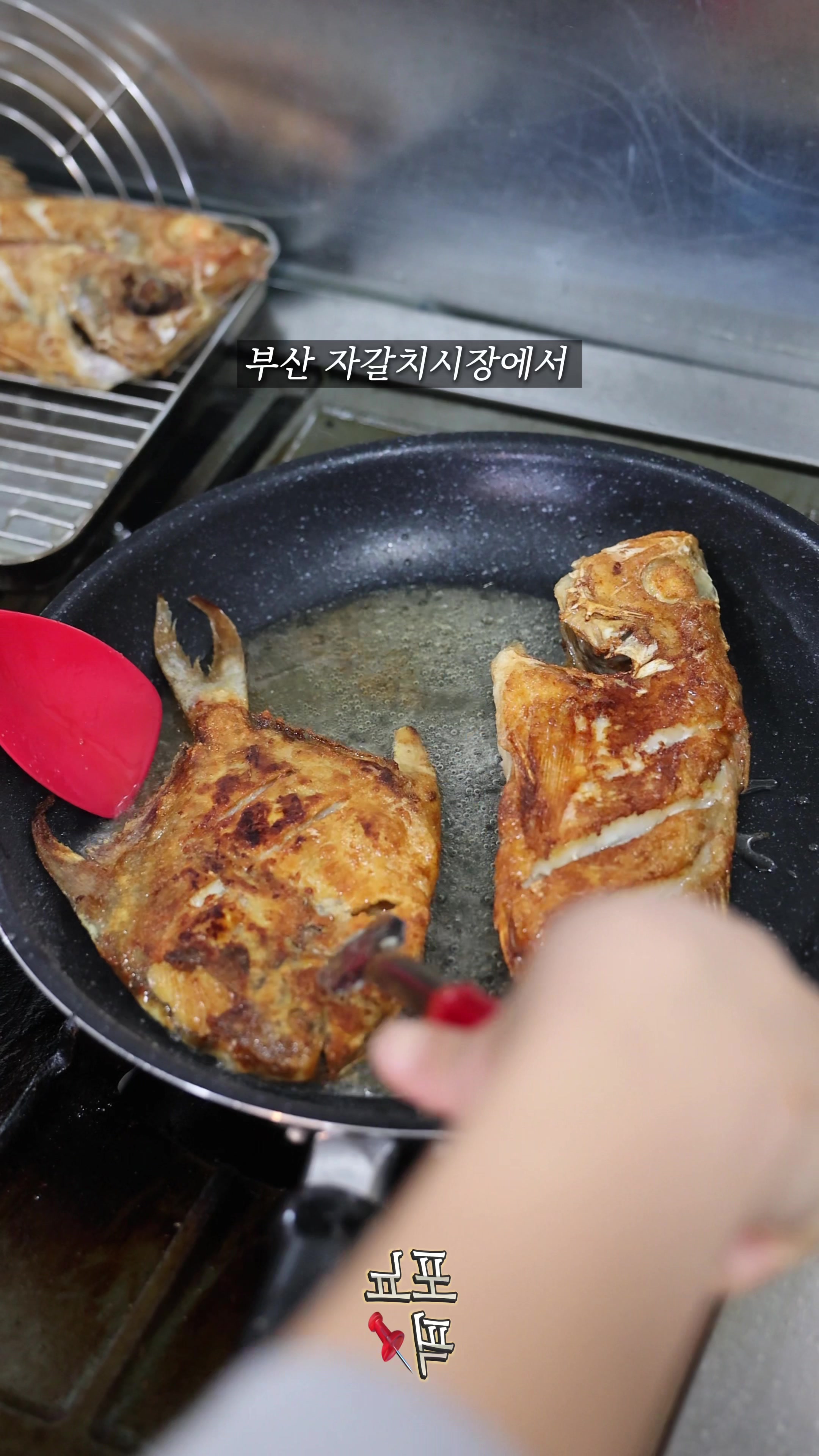@포뇨픽ㅣ청주맛집&bull;대전맛집&bull;세종맛집