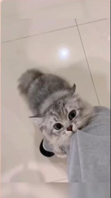 @ˆ˜¨๐ป๐น๐พโ๐ฟโก๐๐พโ๐พ๐น๐ป ¨˜ˆ