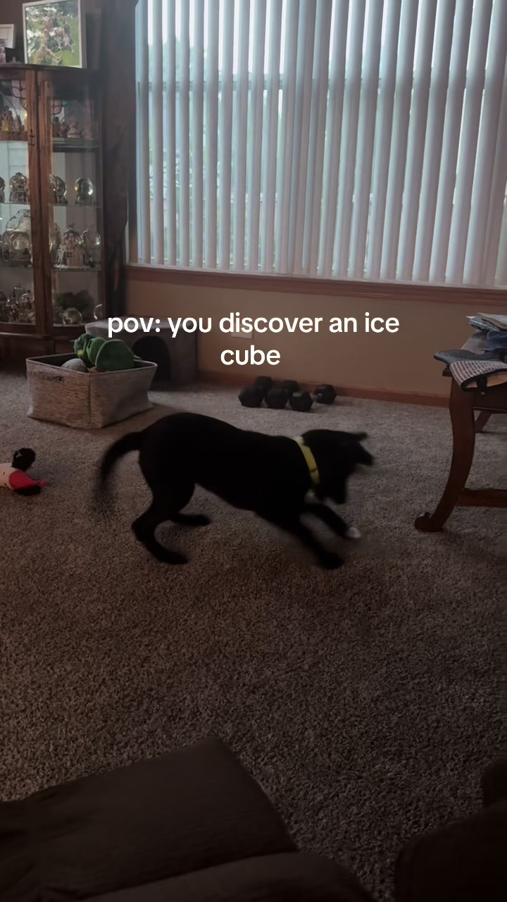 @madiolsonnn