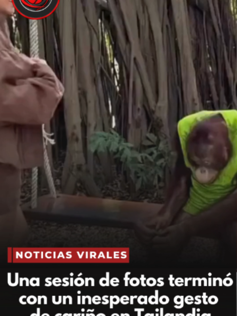 @elveedordigital