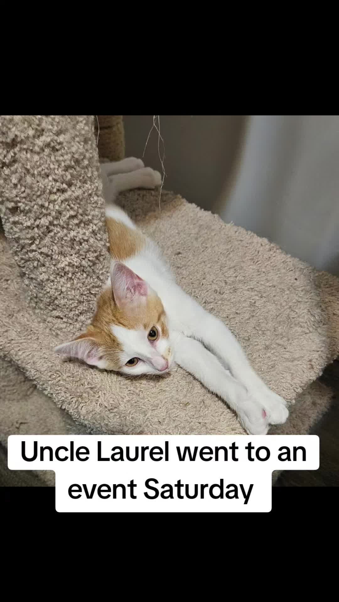 @UtahCatTrapper