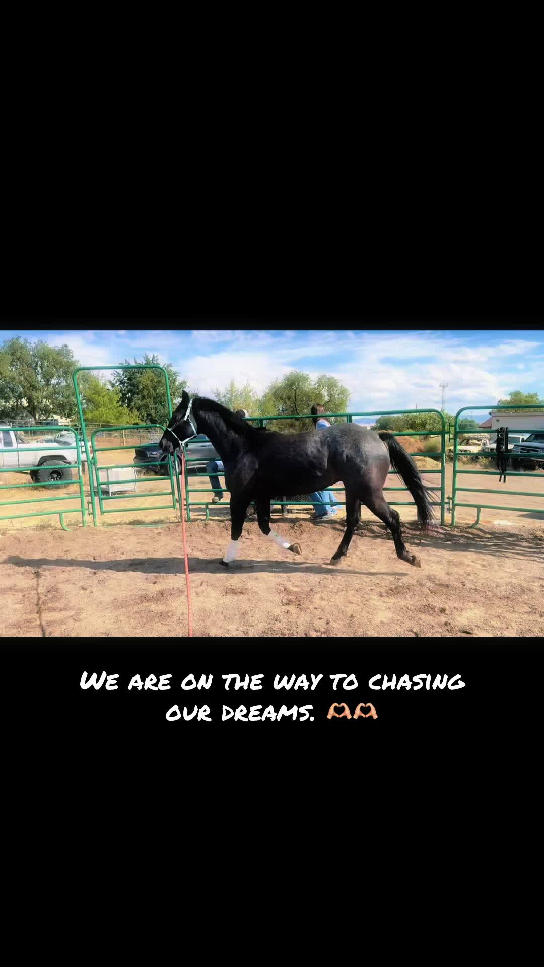 @Cowgirl Tuff Colt Training ❤️