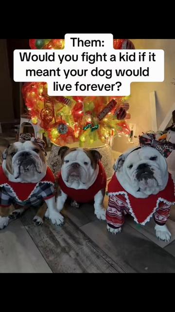 @Stacey Wallace6728