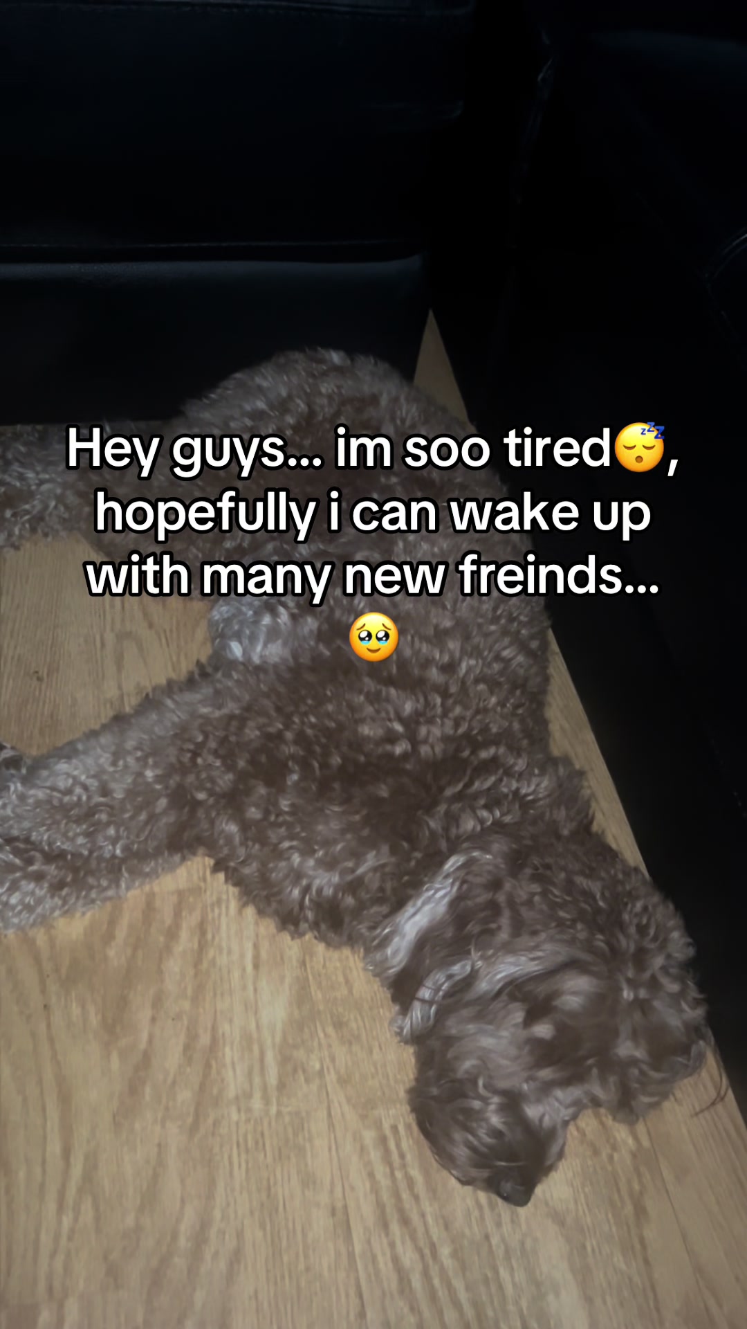 @Goldendoodlelover