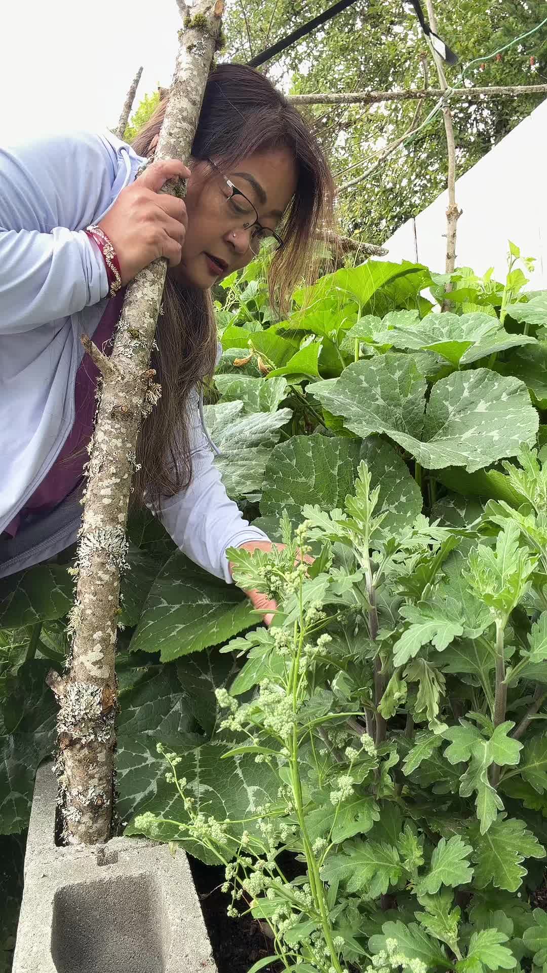 @gangarana008