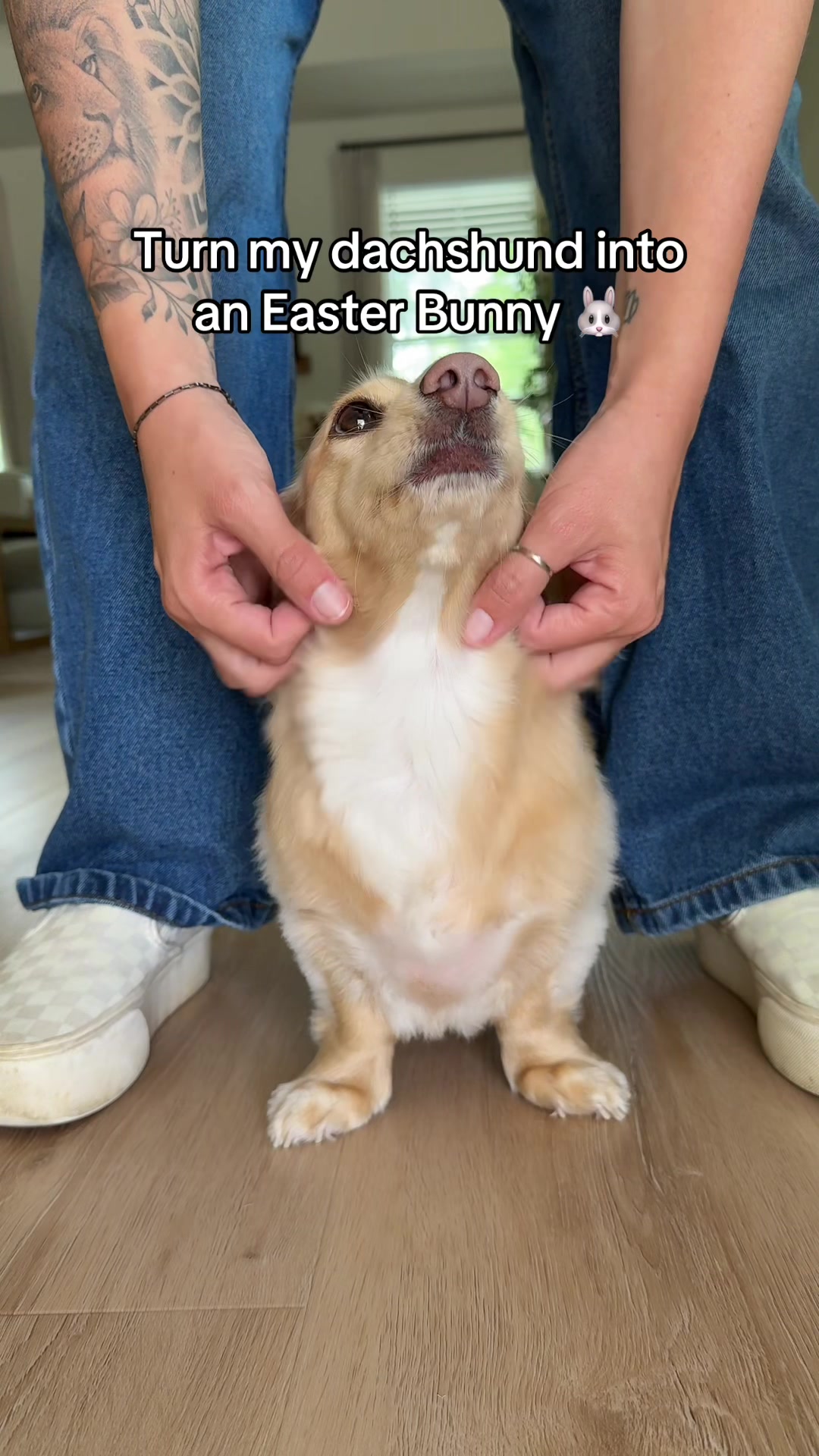 @Billiebeantheween