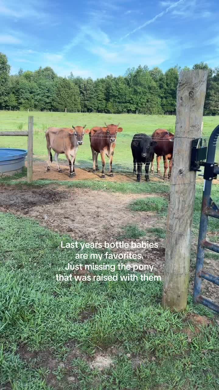 @Raisingfarmkids