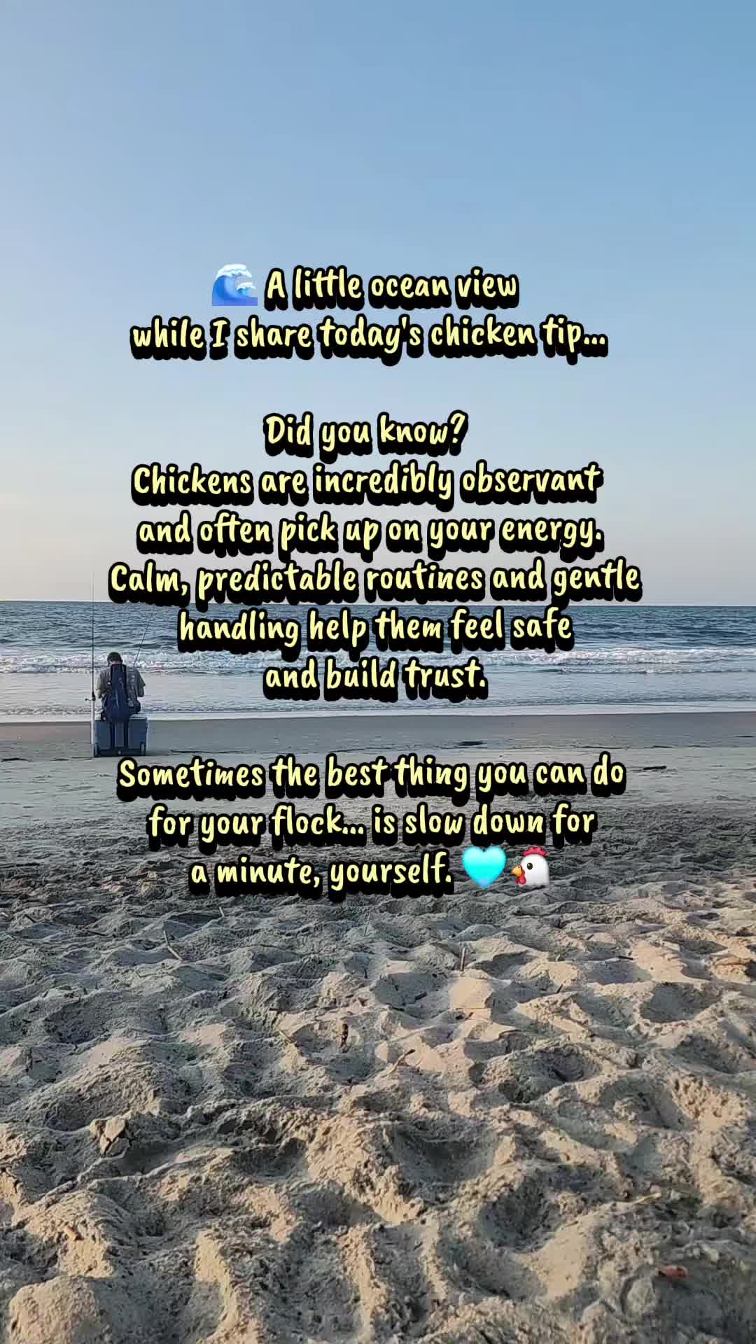 @CluelessClucker❌️