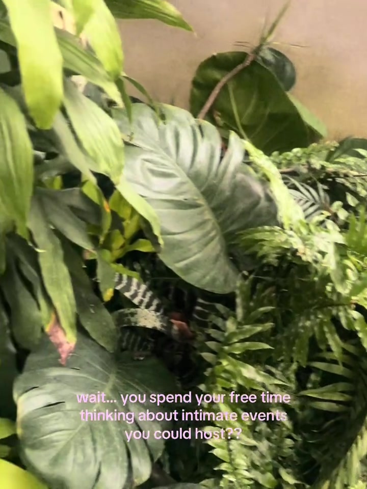 @TaCoia