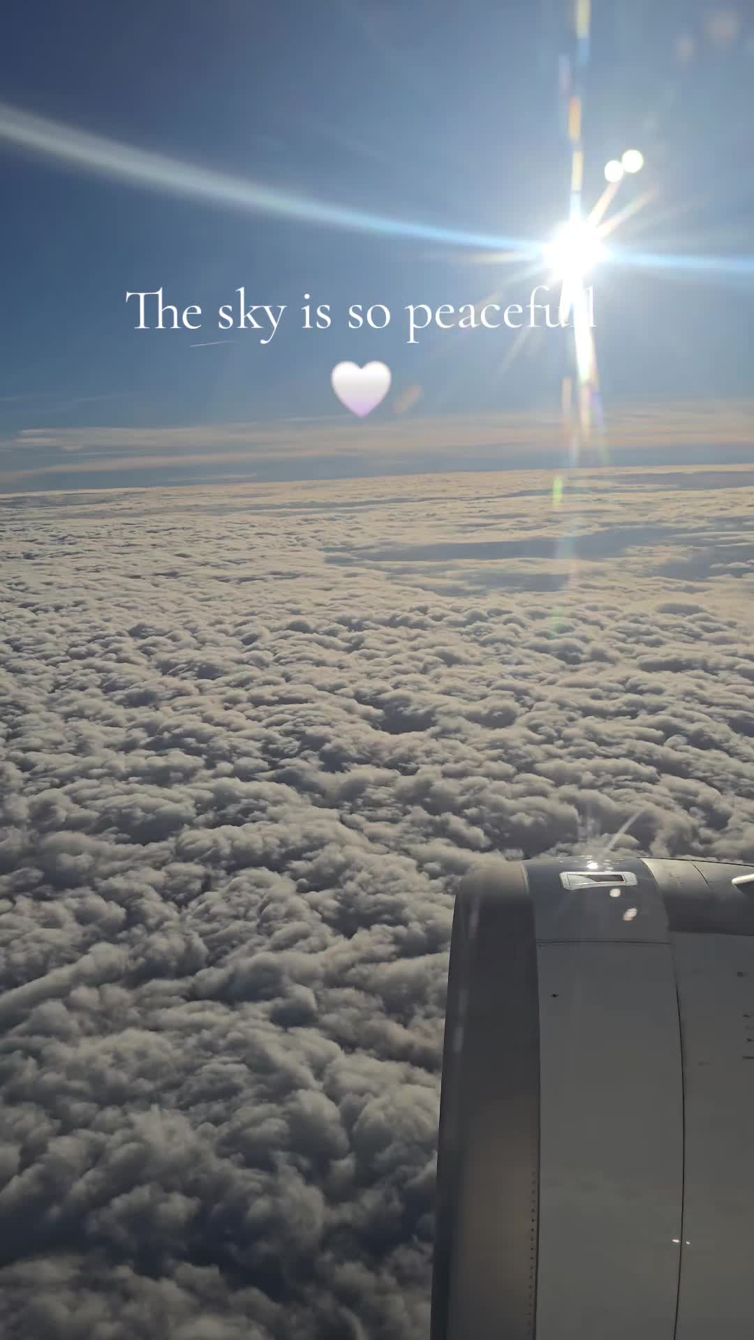 @Yoja ❤️🦋