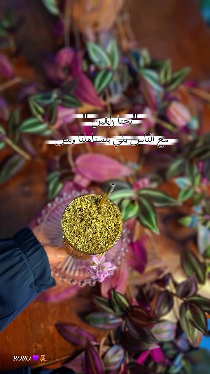 @ᥫᩣוܩߺ ࡅࠦࡅࡅࡅߺܩߺܚࡅߺᥫᩣ