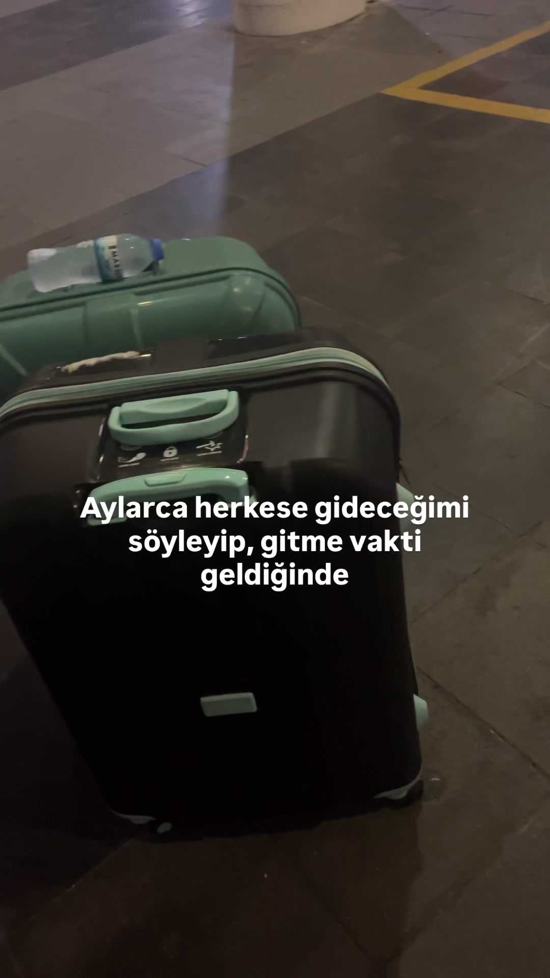 @Vesna