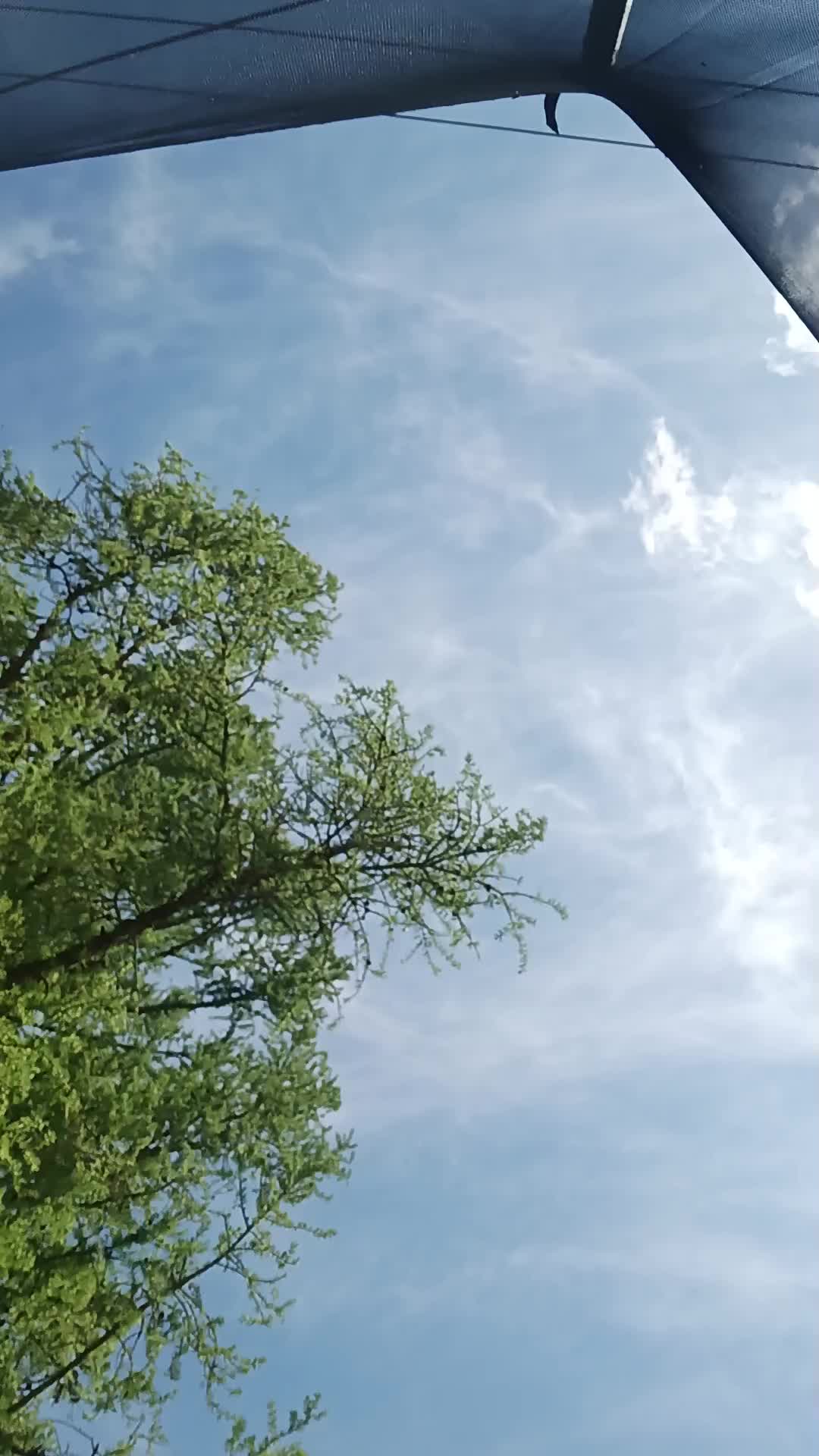 @𝓕𝓪𝓷 𝓿𝓼𝓮𝓱