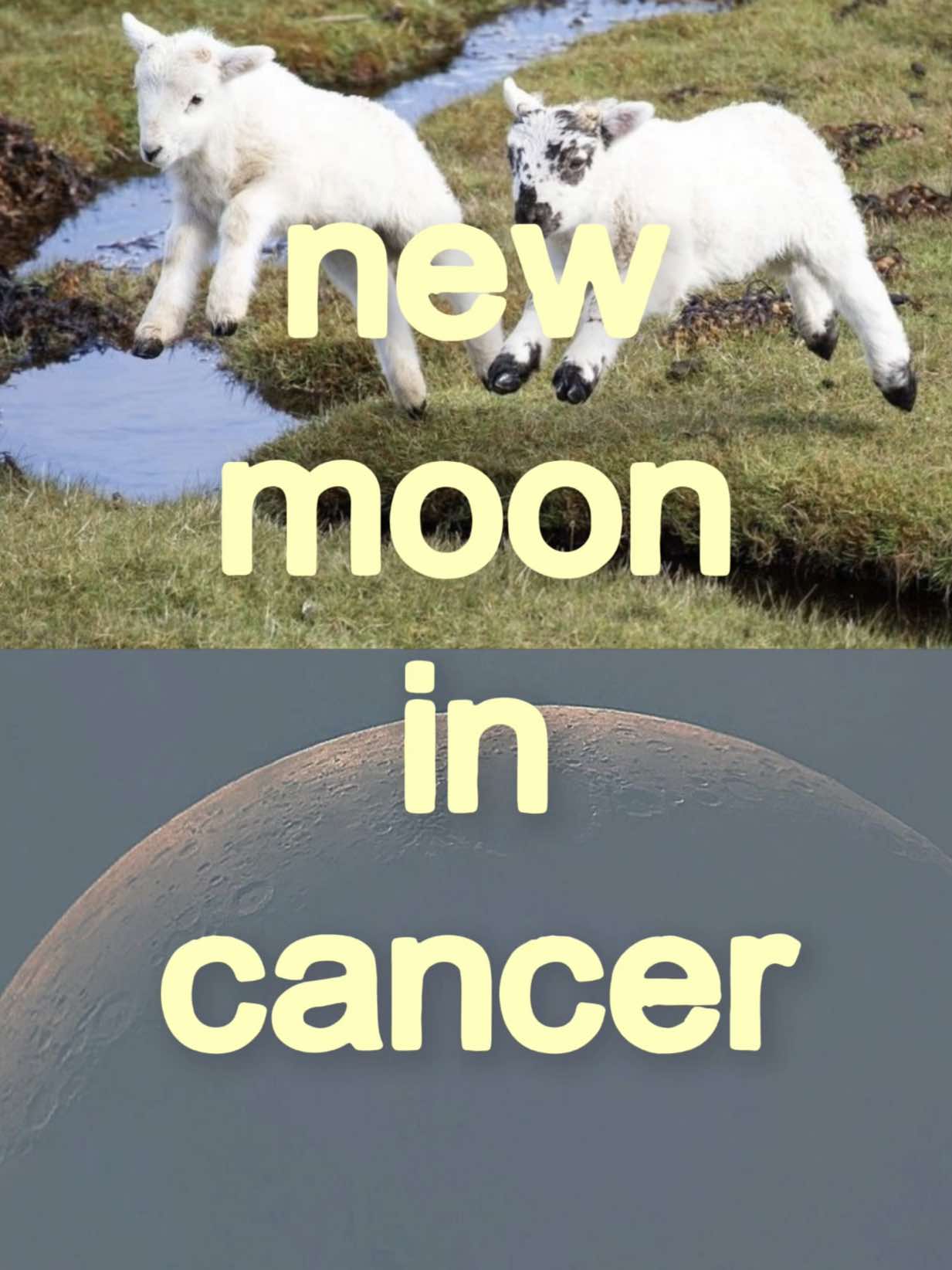 @Lindley ♌︎