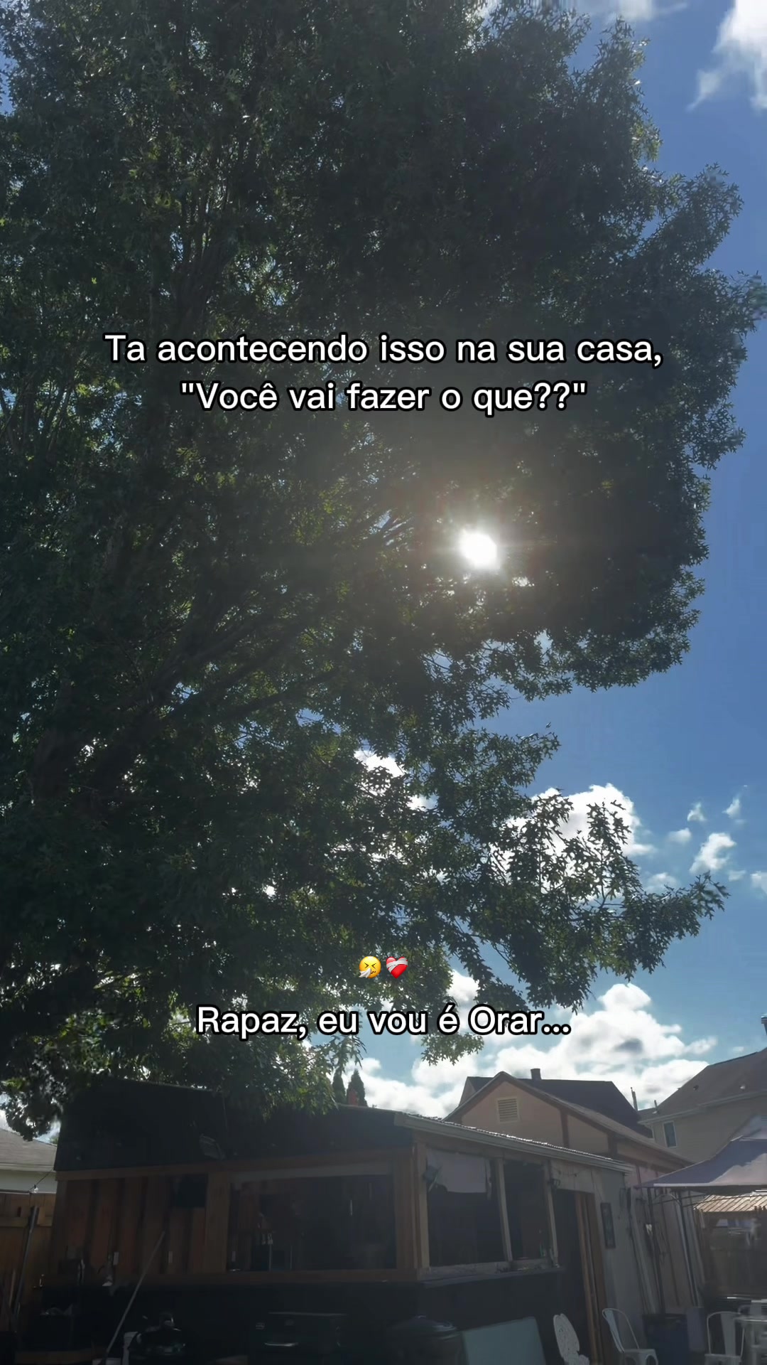 @Alexia.Ribeiro