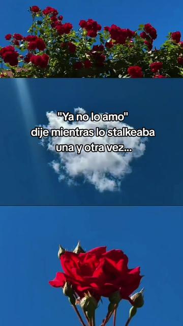 @Ẓ̌ąĥøřį