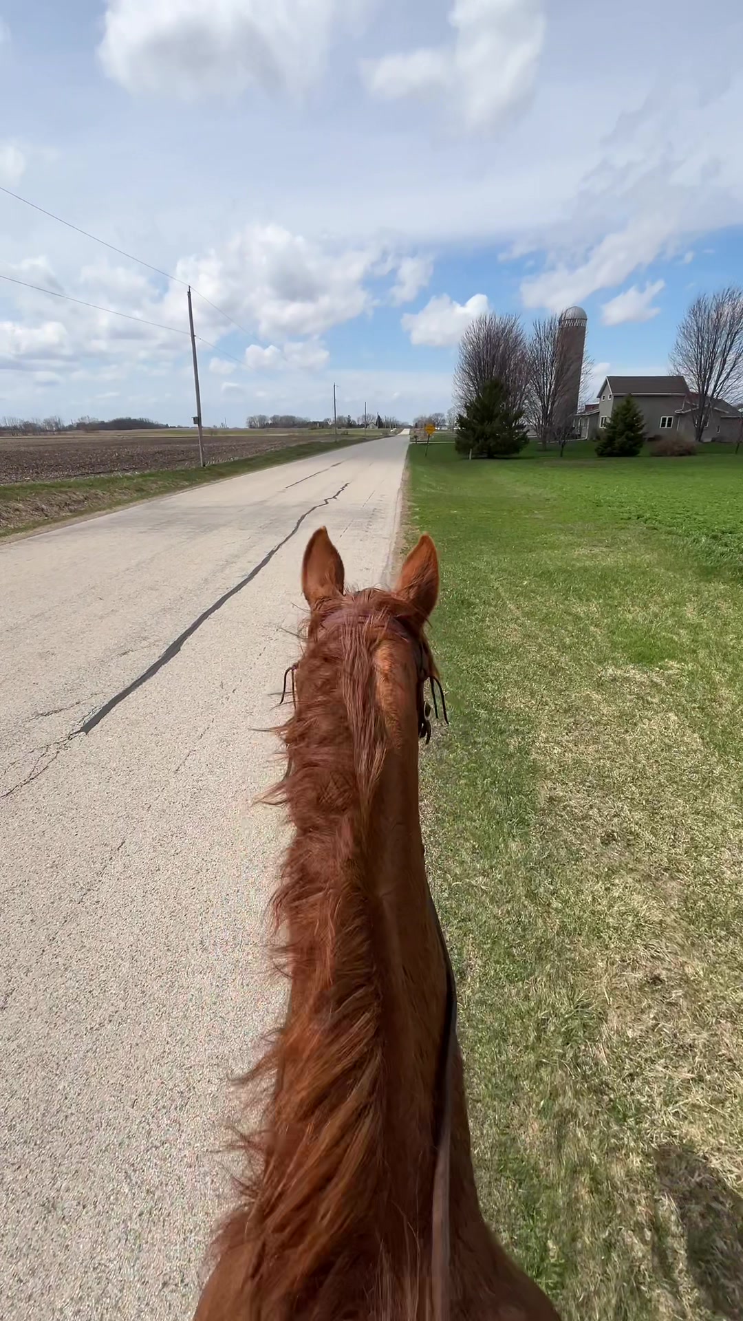 @Aubray | Equine Photographer