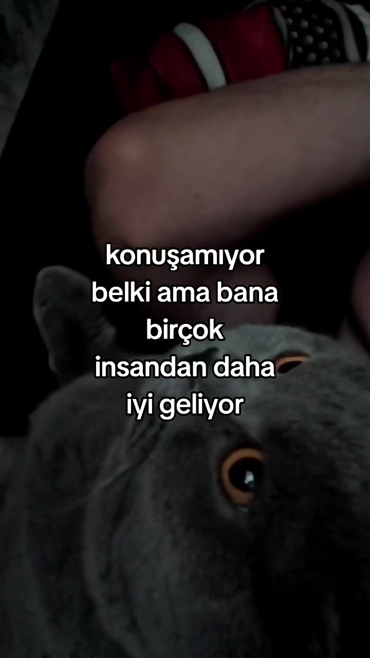 @BasharFl0w