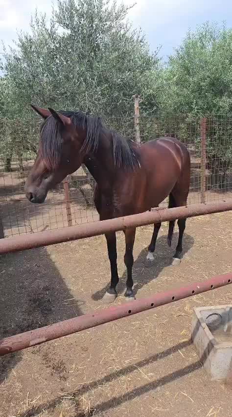 @Steven5579