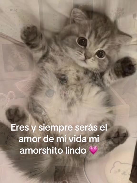 @yramyoliver