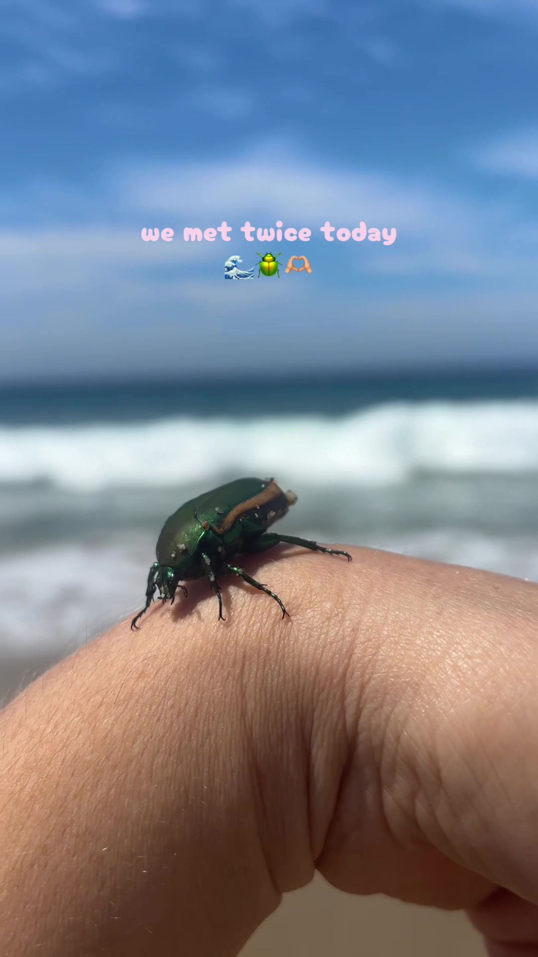 @𝗠𝗜𝗖𝗛𝗘𝗟𝗟𝗘