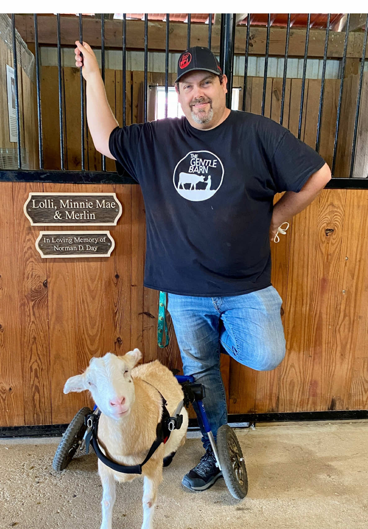 @The Gentle Barn | Sanctuary