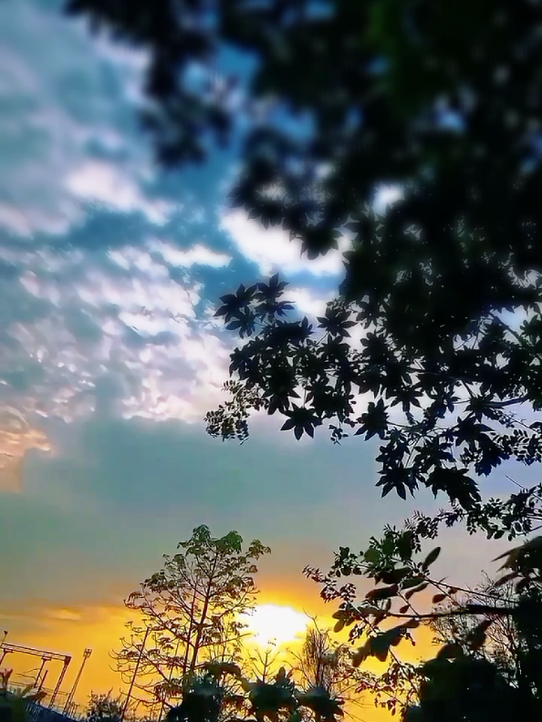 @अँकित यादव ♡ ❤️🩹