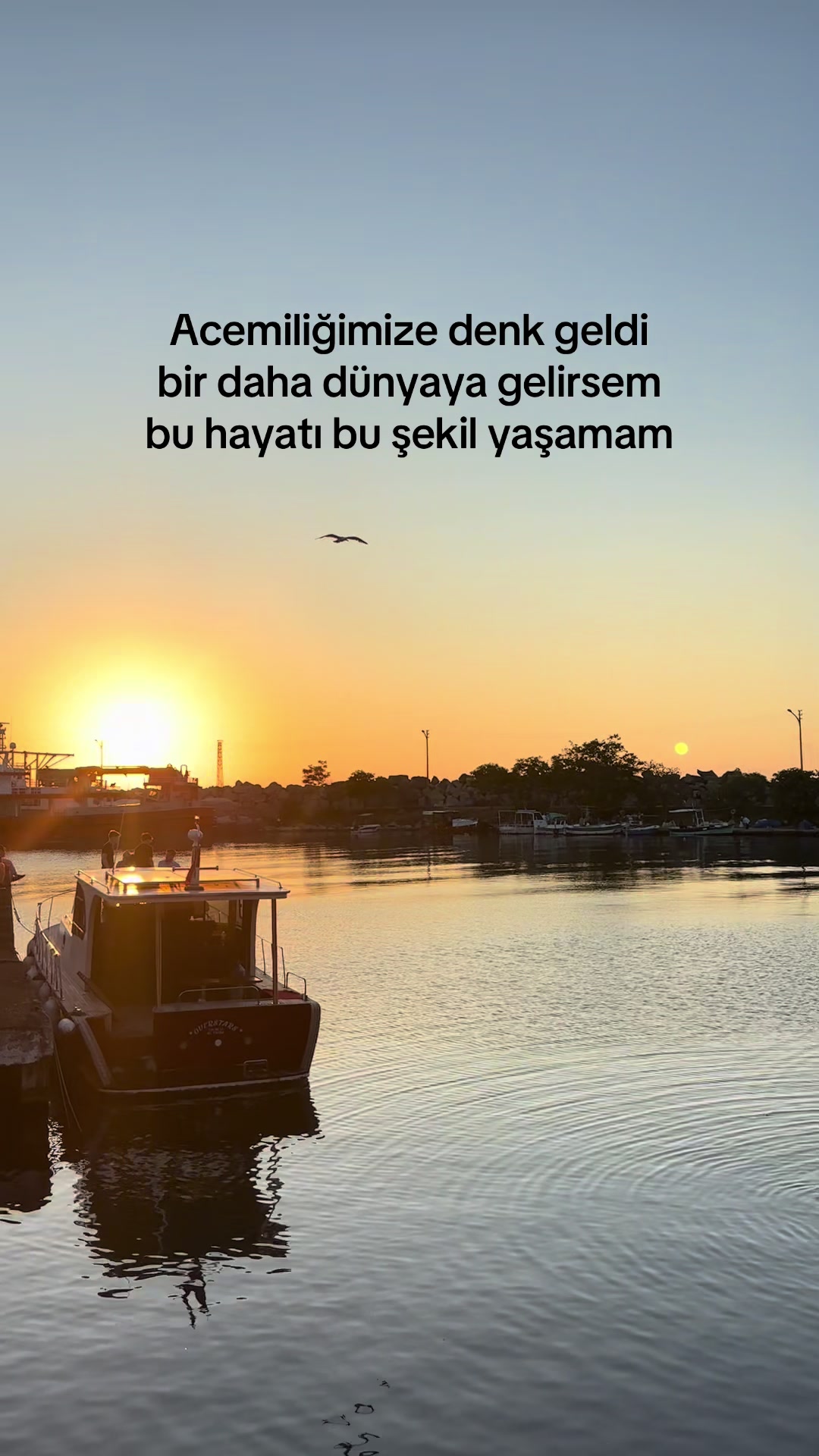 @pınar deniz