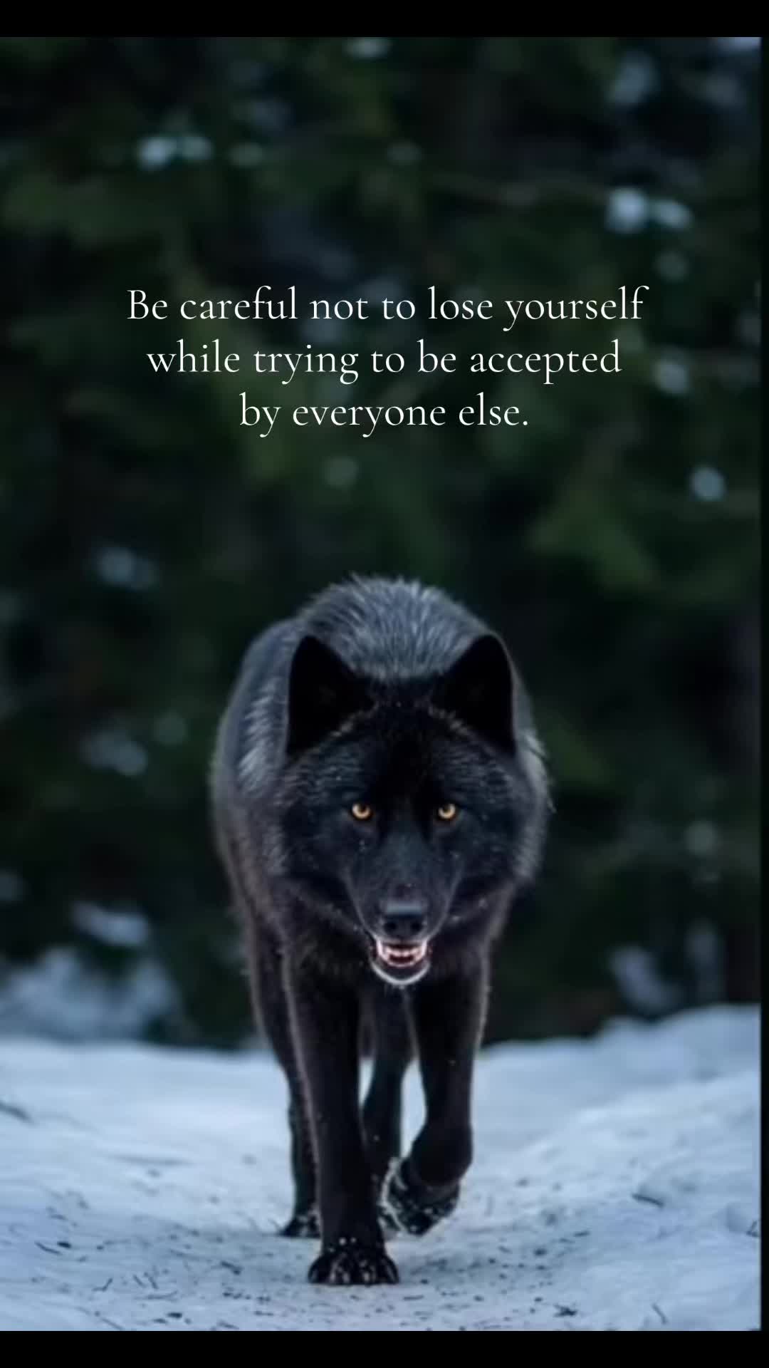 @WOLFSOUL 𓂀  888