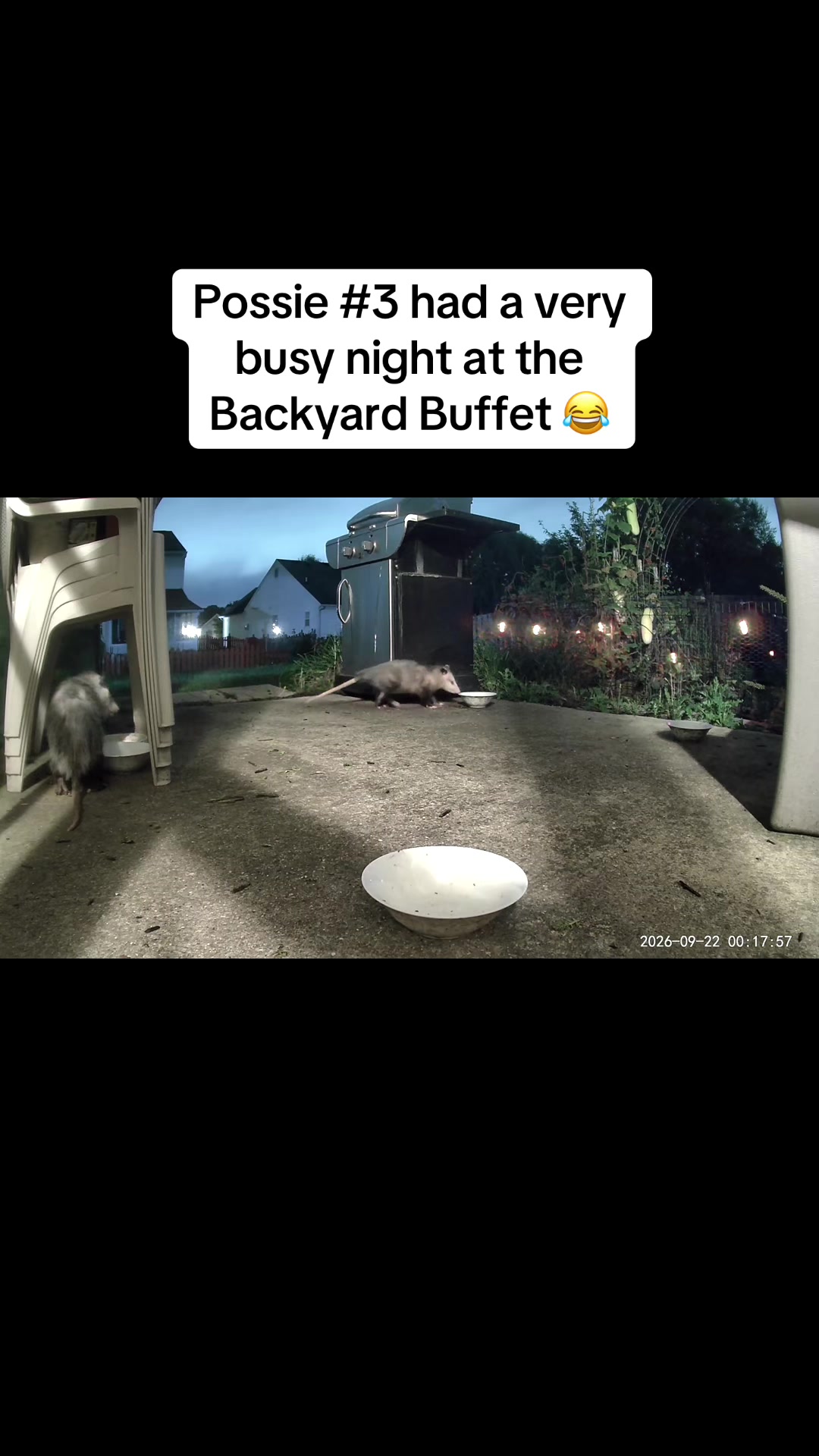 @ErinHessionWooton