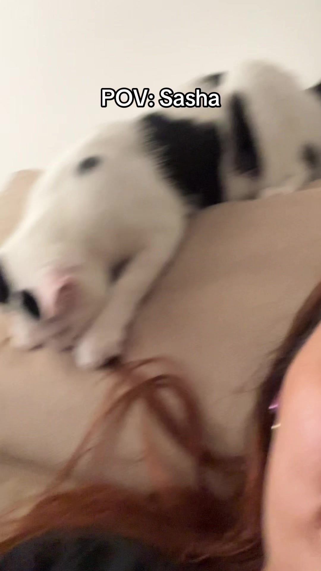@insanny_