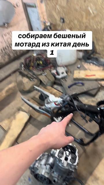 @𝗡𝗘𝗜𝗭𝗩𝗘𝗦𝗧𝗡𝗬
