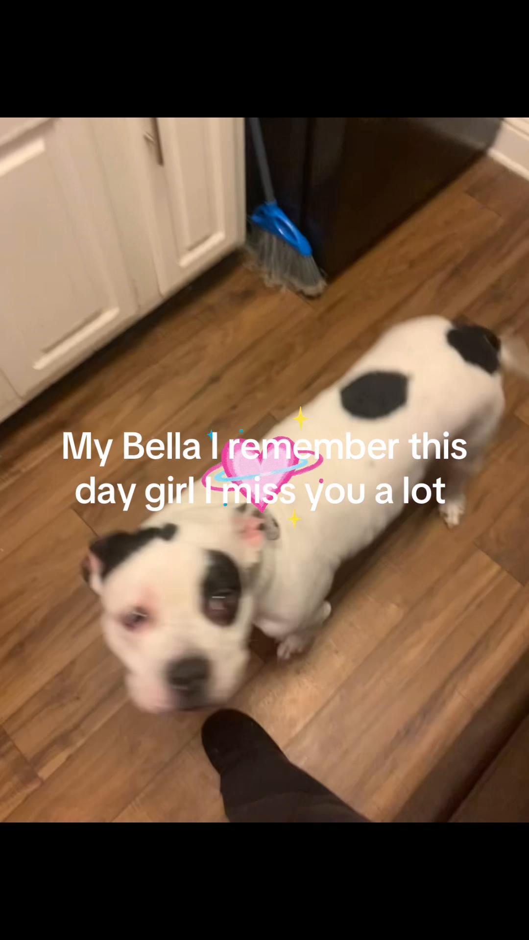@Bella memories