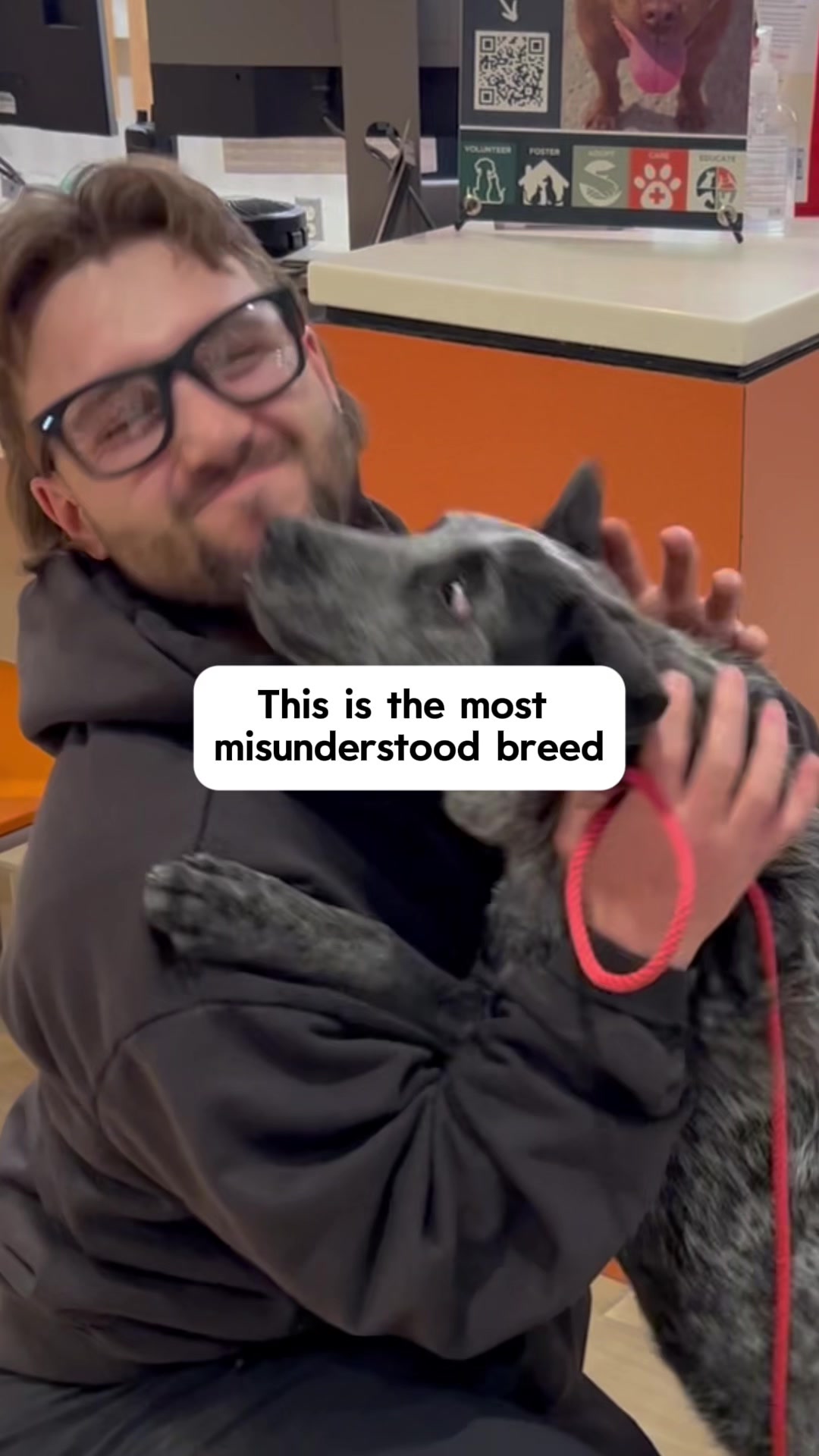 @forthedogs