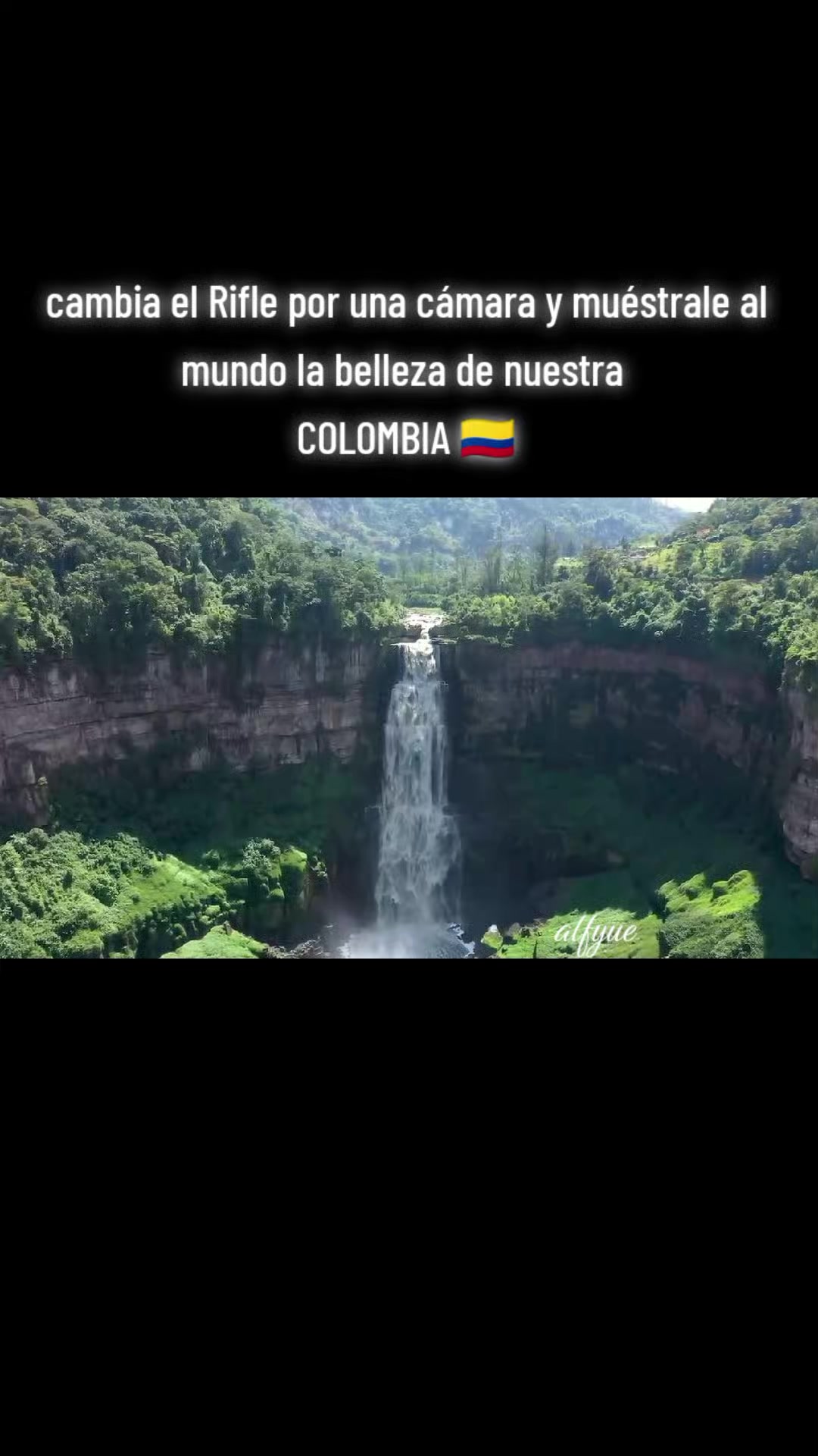 @ALFYULE