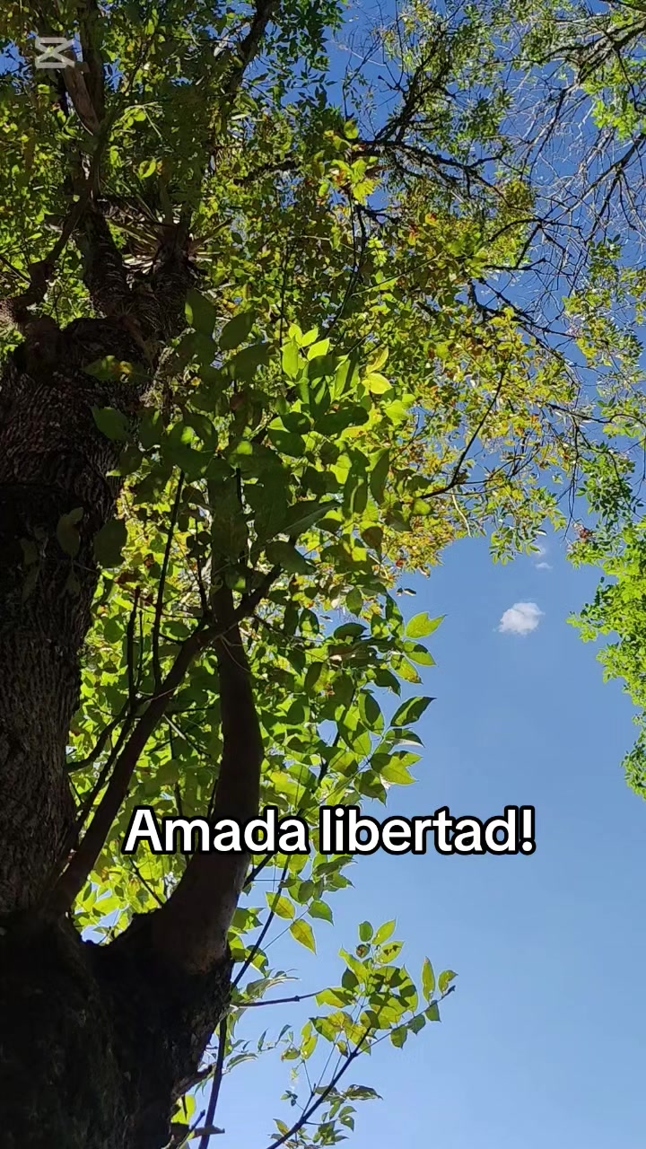 @luisomarfuentesve